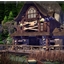Forgotten cottage logo