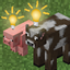 Better Herds logo