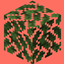 Soft Canopy logo