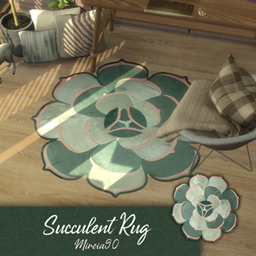 Succulent Rug project image