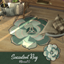 Succulent Rug logo