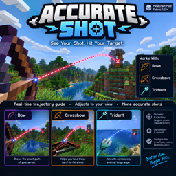 Accurate Shot project image