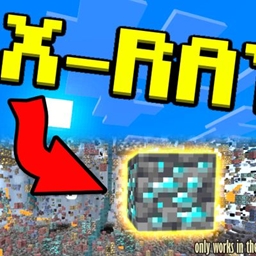Xray (singleplayer)