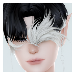 [L4D] ALL - FEATHER ACC project image