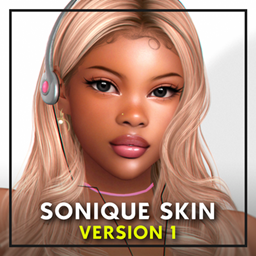 Sonique skin V1 project image