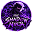 The Shadow Ninja Chronicles logo