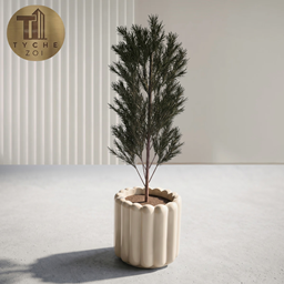 Norfolk Pine tree in pot project image