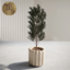 Norfolk Pine tree in pot logo