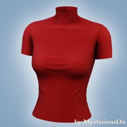 Mock neck fitted top project image