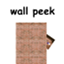 Wall Peek logo