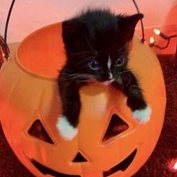 Hallowcraft - luminesx project image