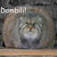 Dombili SMP logo
