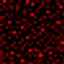 apexboss(development) logo