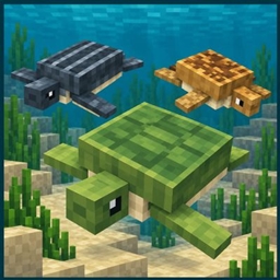 More Turtles Colors project image