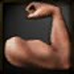 The Muscle Memory project image
