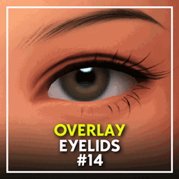 Eyelids #13-14 OVERLAY