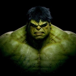 Hulk Craft logo