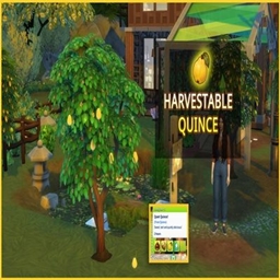 icemunmun Harvestable Quince / translation spanish by Monisims project image