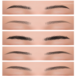 brows25-29 project image