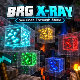 BRG X-RAY