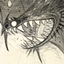 Draconic Kingdom logo