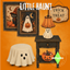 Little Haunt logo