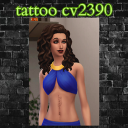 tattoo cv2390 project image