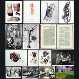 Medicine & Anatomy Painting Pack