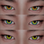 Simsation_Eyes 12 logo