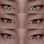 Simsation_Eyes 13 logo