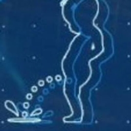 Bladder Meter project image