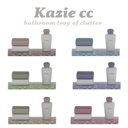 Kaziecc ~ Bathroom tray of clutter project image