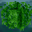 Enhanced Bushy Leaves (More Culling compat) logo