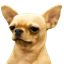 Smartik logo