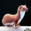 Better Than Weasels logo