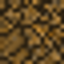 Nether Plains logo