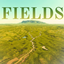 Fields Map 4K logo