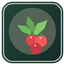 Sweet Quiet — Gentle Berry Picking logo
