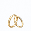 Arranged Marriage Mod logo
