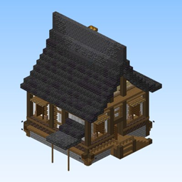 Towny House 12 - Stilted Porch House project image