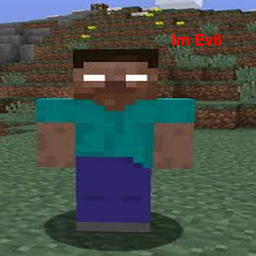 Herobrine Blocks project image