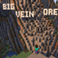 BIG Vein Ore logo