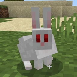Cute Rabbit project image