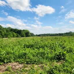 North American Wildlife project image
