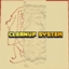 Cleanup System logo