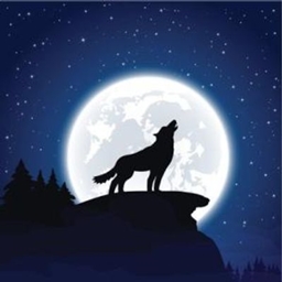 MoreWolf logo