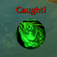 Lil's Fishing Blinker logo