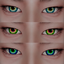 Simsation_ Eyes 14 logo