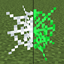 OLLA's green webs logo
