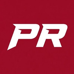 Performance Reborn project image